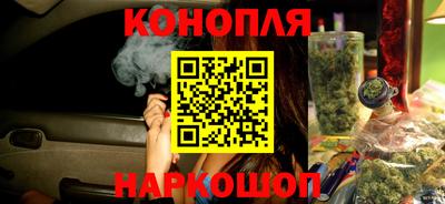 индика Краснознаменск