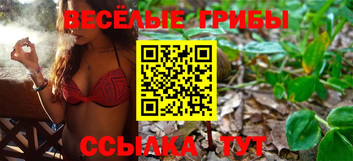 Псилоцибиновые грибы Cubensis Ярцево