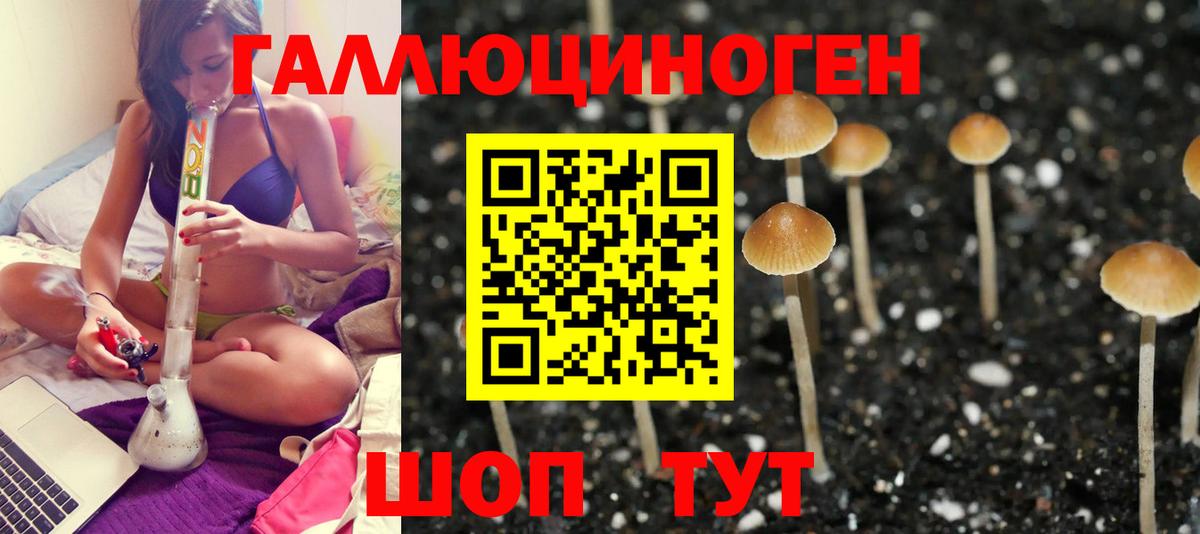 Псилоцибиновые грибы мухоморы  Вход с VPN  Ярцево 